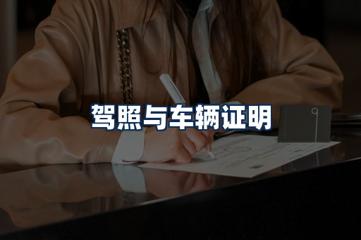 车辆证明展示